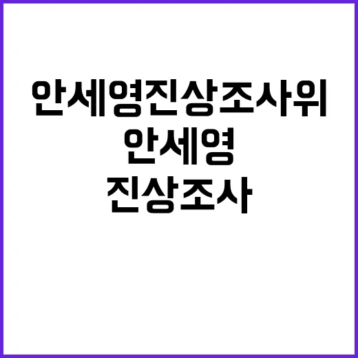 문체부 안세영 진상…