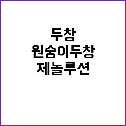 원숭이두창 핵산검사…