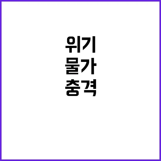 국민카레 위기 요즘…