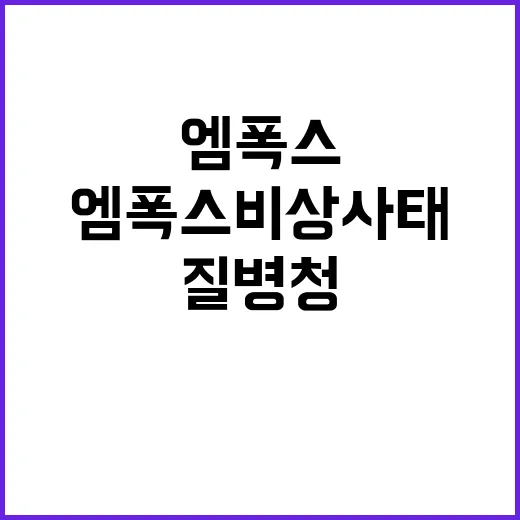 엠폭스 비상사태  질병청 검역 강화 발표