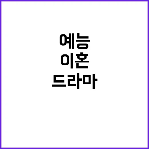 이혼 예능 드라마……