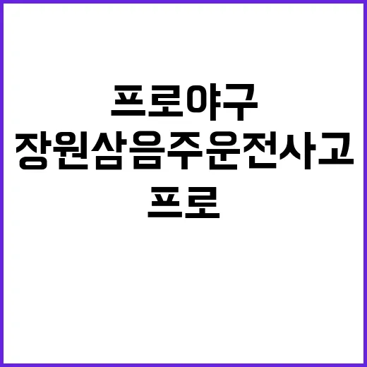 장원삼 음주운전 사…