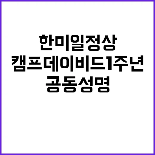 한미일 정상 공동성명 캠프 데이비드 1주년 목표 달성