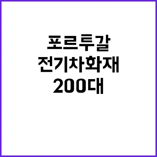 포르투갈 공항 전기차 화재 차량 200대 전소 사건