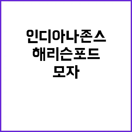 인디아나 존스 모자…