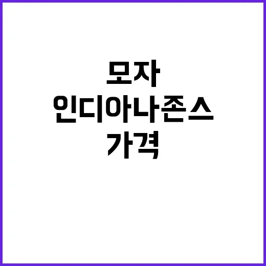 인디아나존스 모자 …