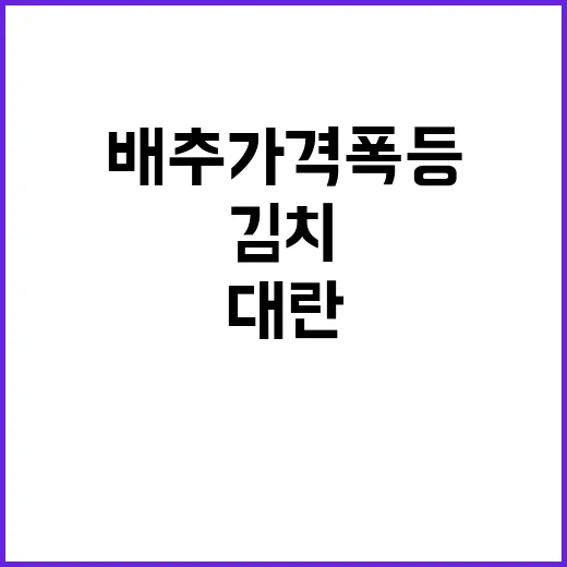 추석 배추 가격 폭…