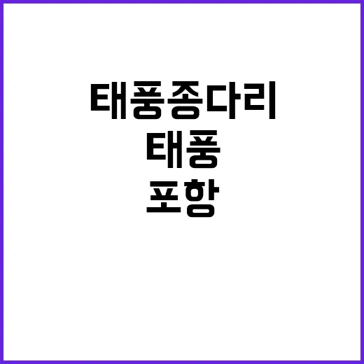 태풍 종다리 경주 …