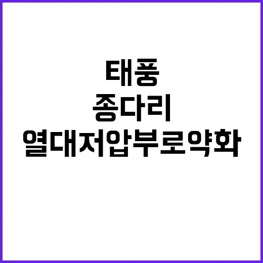 폭염 미니태풍 종다…