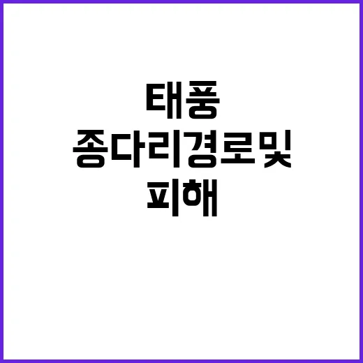 태풍 종다리 경로 …