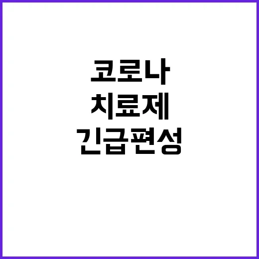 코로나19 치료제 …