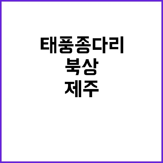 금팔찌 도난 무면허…