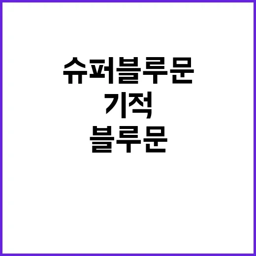 슈퍼블루문 다시 오는 2031년의 기적