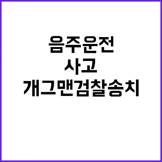 음주운전 사고 유명…