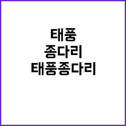 태풍 종다리 광주시…