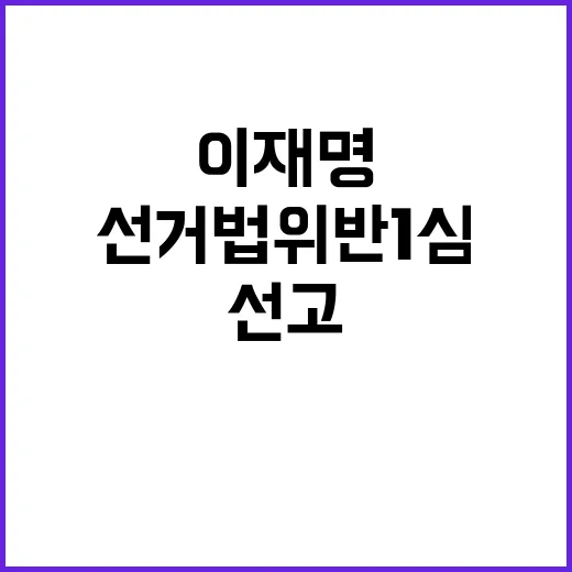 이재명 선거법 위반…