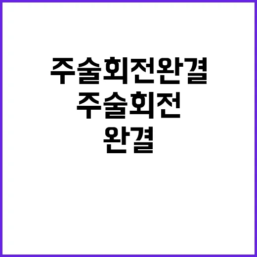 주술회전 완결 팬들의 마지막 기대