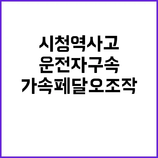 시청역 사고 운전자…