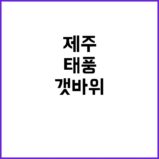 태풍 종다리 제주 …