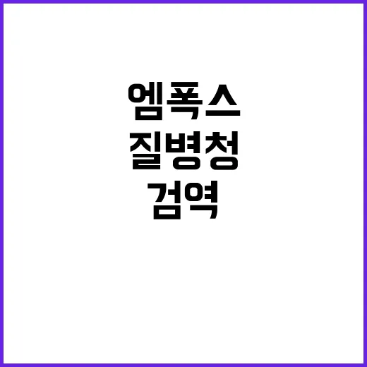 엠폭스 질병청 검역 강화 초비상!