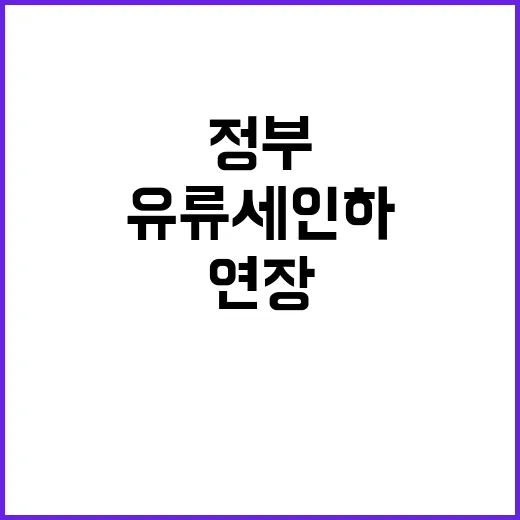 유류세 인하 연장 …