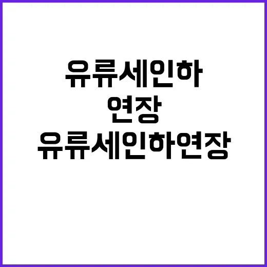 유류세 인하 연장 …