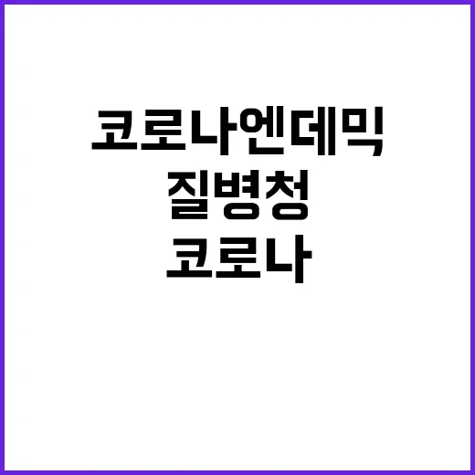 코로나 엔데믹 질병청 발표의 진실은?