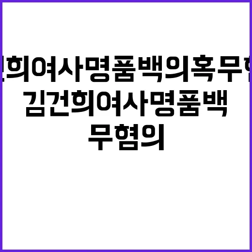 김건희 여사 명품백 의혹 무혐의 남은 변수?