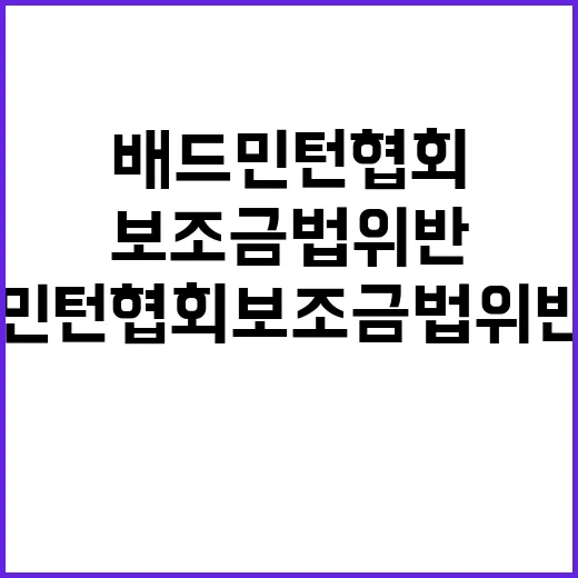 배드민턴협회 보조금…