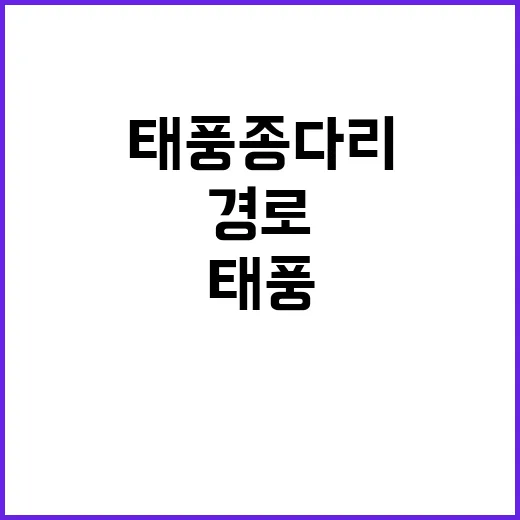 태풍 종다리 경로 …