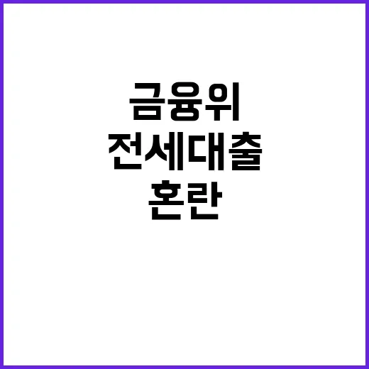 금융위 대책 혼란 …