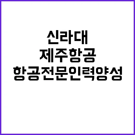 신라대제주항공 항공…