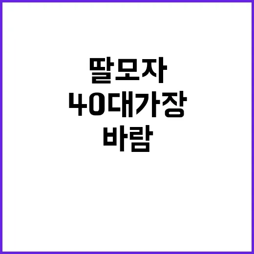 바람 딸 모자 구조…