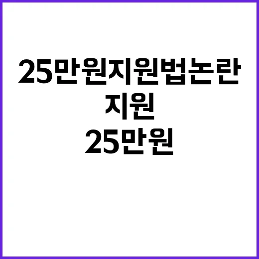 단독 한·이회담 25만원 지원법 논란의 이유