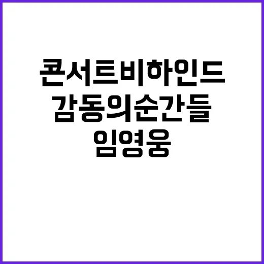 임영웅 콘서트 비하…