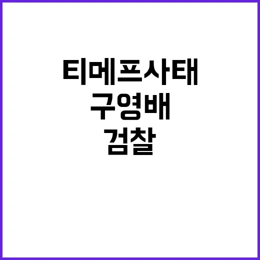 티메프 사태 검찰수…