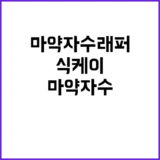 마약 자수 래퍼 식…