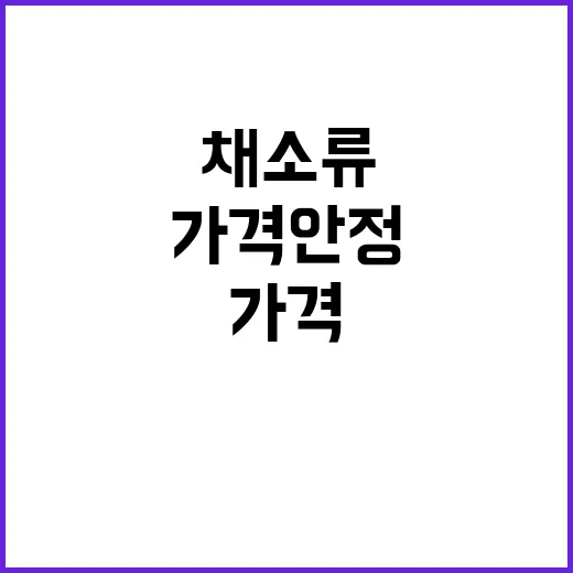 추석 채소류 대폭 …