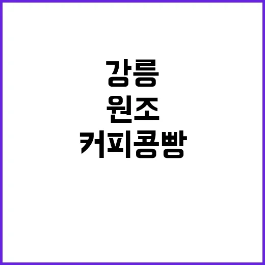 강릉커피콩빵 원조 …