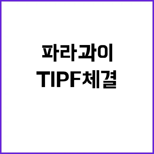 TIPF 체결 한파…