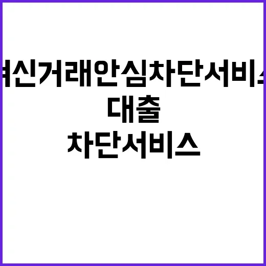 여신거래 안심차단 …