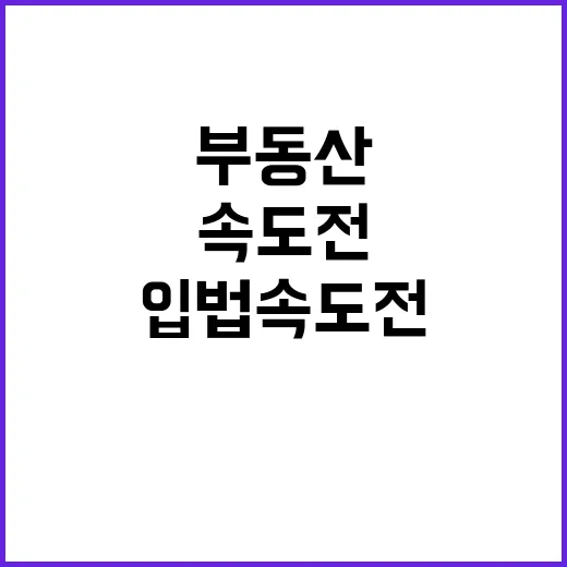 부동산 대책 입법 …