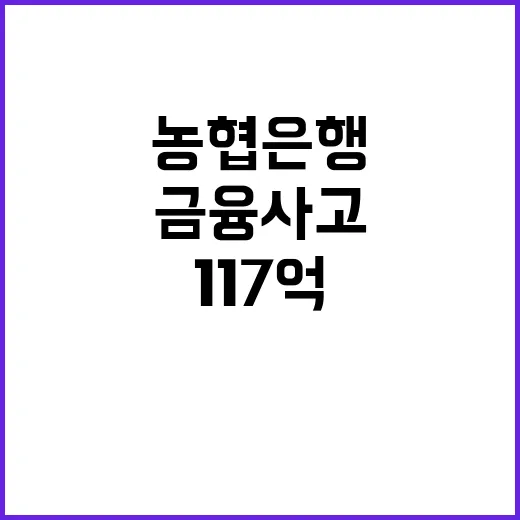 농협은행 금융사고 117억 올해만 네 번째!