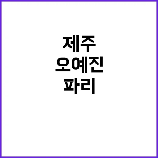 파리 금메달리스트 …