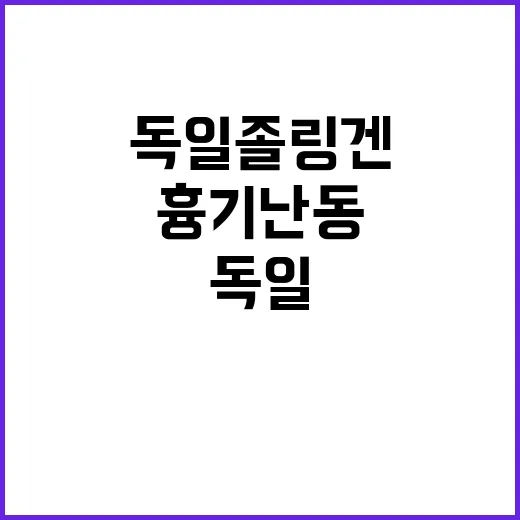 독일 졸링겐 축제 …