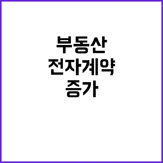 부동산 전자계약 증…