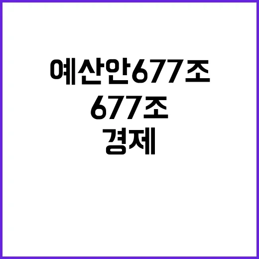 예산안 677조 복…