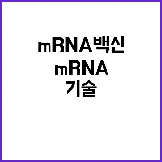 mRNA 백신 양자…