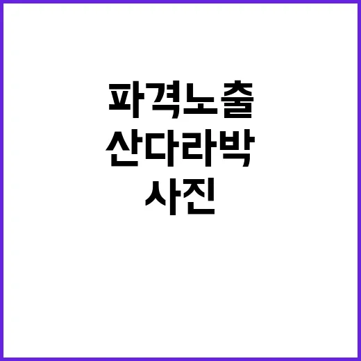 산다라박 파격 노출…