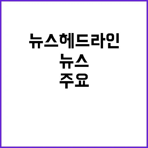 김주하 MBN 뉴스…